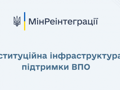 Організаційна інфраструктура підтримки ВПО